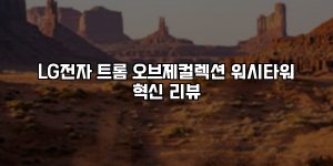 LG전자 트롬 오브제컬렉션 워시타워 혁신 리뷰 [요약]