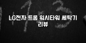 LG전자 트롬 워시타워 세탁기 리뷰 [요약]