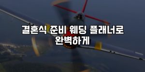 결혼식 준비 웨딩 플래너로 완벽하게 [요약]