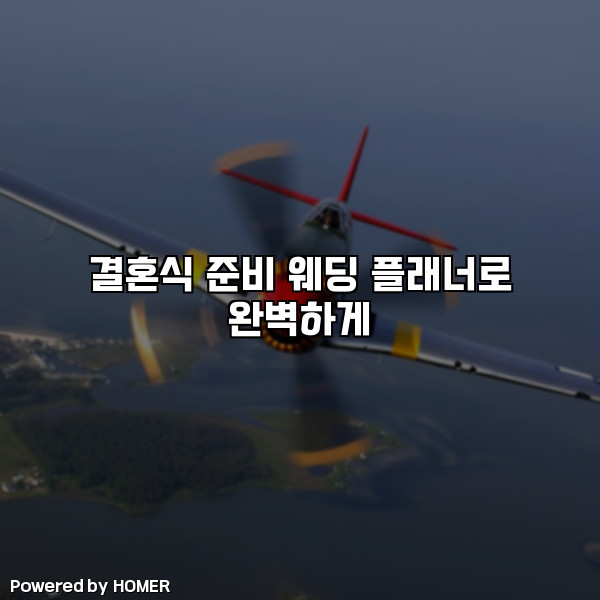 결혼식 준비 웨딩 플래너로 완벽하게 [요약]