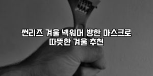 썬리즈 겨울 넥워머 방한 마스크로 따뜻한 겨울 추천 [요약]