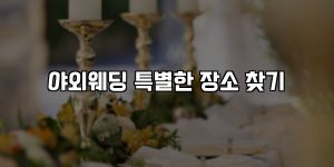 야외웨딩 특별한 장소 찾기 [요약]