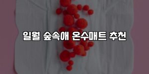 일월 숲속애 온수매트 추천 [요약]
