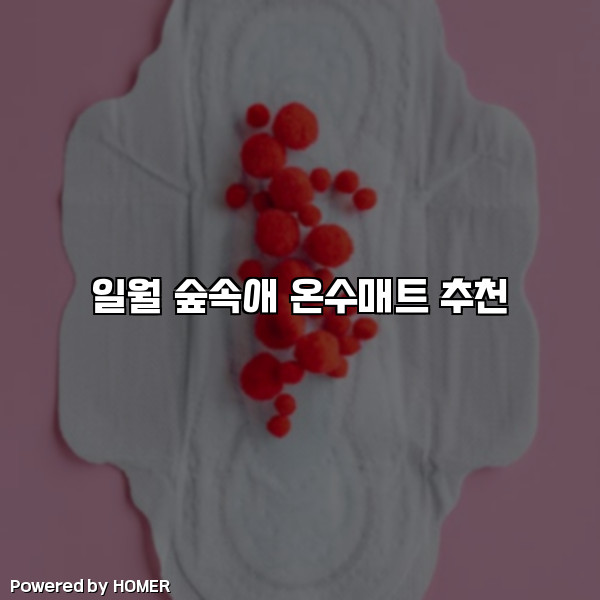일월 숲속애 온수매트 추천 [요약]
