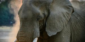 “대만 3박 4일 완벽 여행 일정: 타이베이부터 지우펀까지”