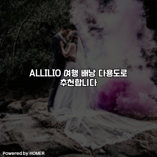ALLILIO 여행 배낭 다용도로 추천합니다 [요약]