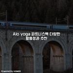 Alo yoga 피트니스백 다양한 활용성과 추천 [요약]