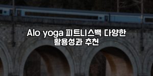 Alo yoga 피트니스백 다양한 활용성과 추천 [요약]