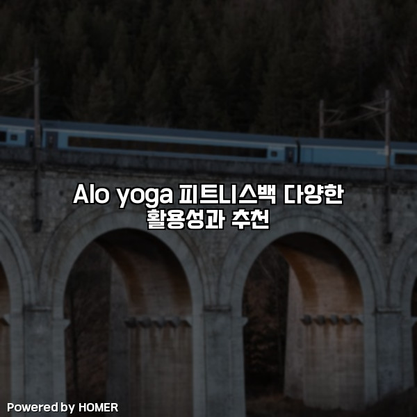 Alo yoga 피트니스백 다양한 활용성과 추천 [요약]