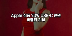 Apple 정품 20W USB-C 전원 어댑터 리뷰 [요약]