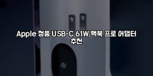 Apple 정품 USB-C 61W 맥북 프로 어댑터 추천 [요약]
