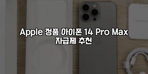 Apple 정품 아이폰 14 Pro Max 자급제 추천 [요약]