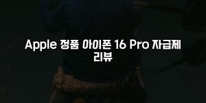 Apple 정품 아이폰 16 Pro 자급제 리뷰 [요약]