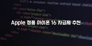 Apple 정품 아이폰 16 자급제 추천 [요약]