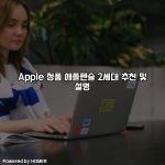 Apple 정품 애플펜슬 2세대 추천 및 설명 [요약]