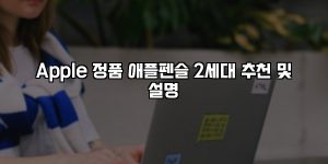 Apple 정품 애플펜슬 2세대 추천 및 설명 [요약]