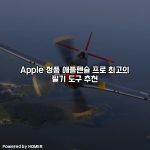 Apple 정품 애플펜슬 프로 최고의 필기 도구 추천 [요약]
