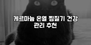 게르마늄 온열 찜질기 건강 관리 추천 [요약]