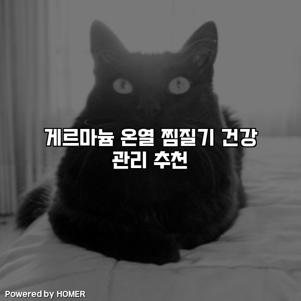 게르마늄 온열 찜질기 건강 관리 추천 [요약]