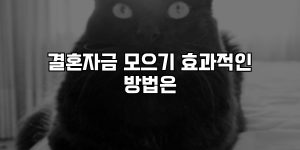 결혼자금 모으기 효과적인 방법은 [요약]