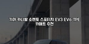기아 카니발 소렌토 스포티지 EV3 EV6 TPE 카매트 추천 [요약]