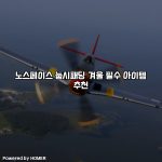 노스페이스 눕시패딩 겨울 필수 아이템 추천 [요약]