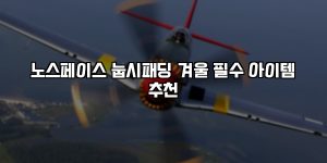 노스페이스 눕시패딩 겨울 필수 아이템 추천 [요약]