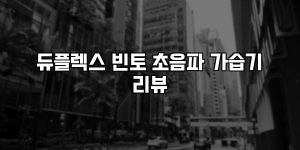 듀플렉스 빈토 초음파 가습기 리뷰 [요약]