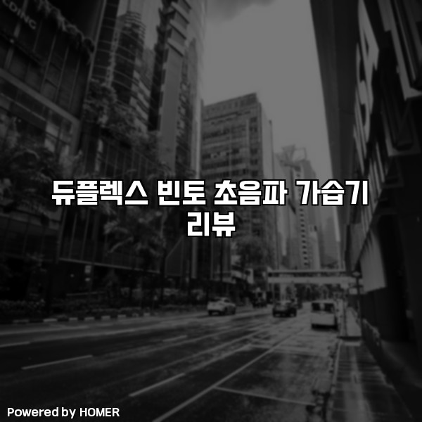 듀플렉스 빈토 초음파 가습기 리뷰 [요약]