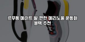 르무통 메이트 발 편한 메리노울 운동화 블랙 추천 [요약]