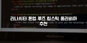 리나시타 톤업 루즈 립스틱 올리비아 추천 [요약]