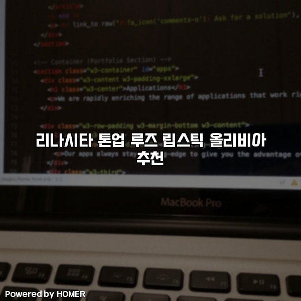 리나시타 톤업 루즈 립스틱 올리비아 추천 [요약]