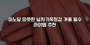 미노담 따뜻한 남자가죽장갑 겨울 필수 아이템 추천 [요약]