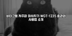 비타그램 저주파 마사지기 WGT-1235 효과와 사용법 소개 [요약]