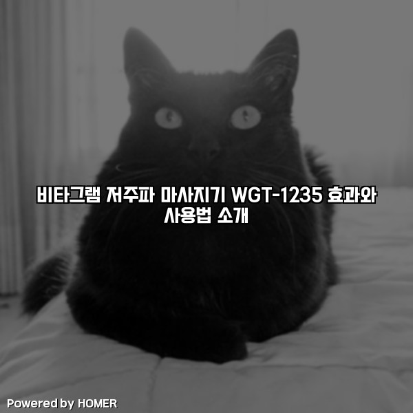 비타그램 저주파 마사지기 WGT-1235 효과와 사용법 소개 [요약]