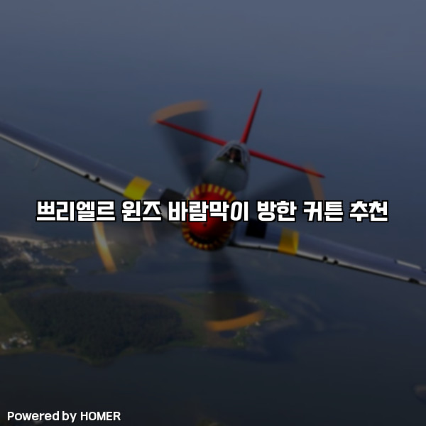 쁘리엘르 윈즈 바람막이 방한 커튼 추천 [요약]