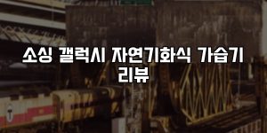 소싱 갤럭시 자연기화식 가습기 리뷰 [요약]