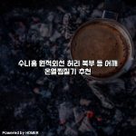 수니홈 원적외선 허리 복부 등 어깨 온열찜질기 추천 [요약]