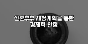 신혼부부 재정계획을 통한 경제적 안정 [요약]