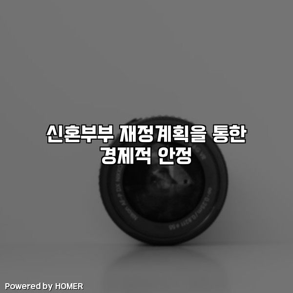 신혼부부 재정계획을 통한 경제적 안정 [요약]