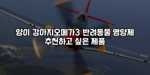 양이 강아지오메가3 반려동물 영양제 추천하고 싶은 제품 [요약]