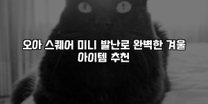 오아 스퀘어 미니 발난로 완벽한 겨울 아이템 추천 [요약]