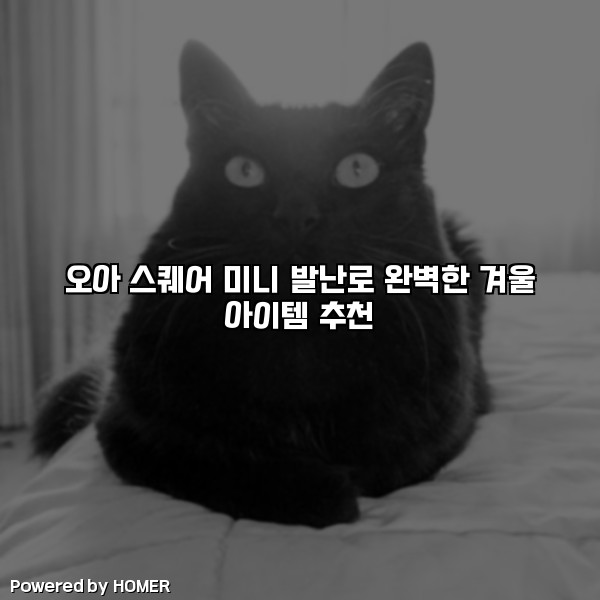 오아 스퀘어 미니 발난로 완벽한 겨울 아이템 추천 [요약]