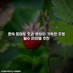 완숙 토마토 맛과 영양이 가득한 주방 필수 아이템 추천 [요약]