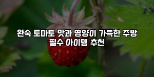 완숙 토마토 맛과 영양이 가득한 주방 필수 아이템 추천 [요약]