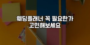 웨딩플래너 꼭 필요한가 고민해보세요 [요약]