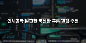 인체공학 발편한 푹신한 구름 깔창 추천 [요약]