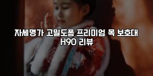 자세명가 고밀도폼 프리미엄 목 보호대 H90 리뷰 [요약]