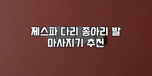제스파 다리 종아리 발 마사지기 추천 [요약]