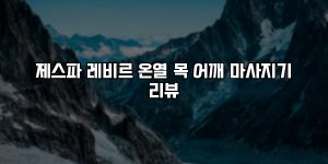 제스파 레비르 온열 목 어깨 마사지기 리뷰 [요약]